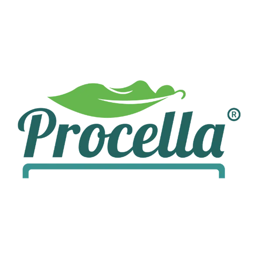 Procella Spring Bed